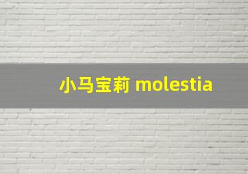 小马宝莉 molestia